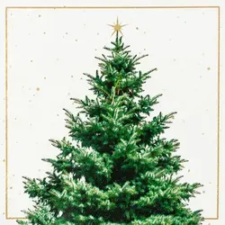Home Fashion, Fir Tree, Lunch-Servietten aufgefaltetes Maß 33 cm x 33 cm, im Viertelfalz, 20 Stück pro Pack