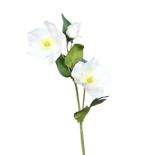 Seidenblumen Roß Christrosenzweig 35cm DP Kunstblumen künstliche Christrose Helleborus Schneerose Blumen Pflanzen (Weiß)