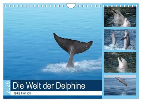 Heike Hultsch | Die Welt der Delphine (Wandkalender 2026 DIN A4 quer) - Faszinierender Wandkalender mit intelligenten, freundlichen Delphinen. Ideal für Tierliebhaber und als Geschenk. Hochwertiger Druck, 14 Seiten voller Freude und Kunst.