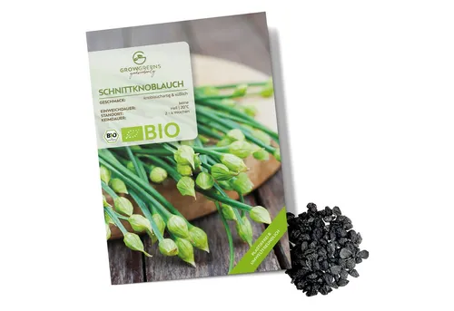 Growgreens Kräutersamen BIO Schnittknoblauch Samen - Küchenkräuter Saatgut (50 Korn)