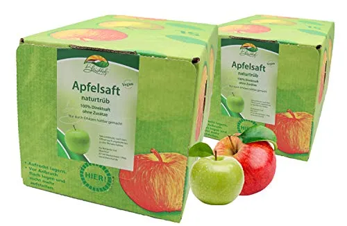 Bleichhof Apfelsaft naturtrüb - 100% Direktsaft in Bag-in-Box - Säfte: 100% Direktsaft aus eigenem Anbau, vegan und ohne Zuckerzusatz, in praktischer Bag-in-Box mit 3 Monaten Haltbarkeit nach Anbruch.