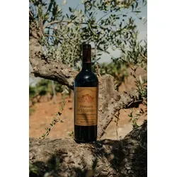 Produktbild Gérard Bertrand Domaine de Villemajou Rotwein 2020 | Carignan/Grenache/Syrah/Mourvèdre