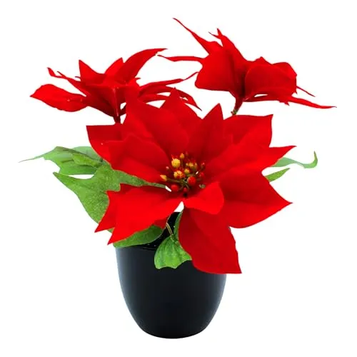 Spetebo Künstlicher Weihnachtsstern im schwarzen Topf - 27 cm - Kunstblume Poinsettie in naturgetreuer Nachbildung - Christblume Deko Pflanze Seidenblume Kunstpflanze Winterblume mit samtigen Blüten
