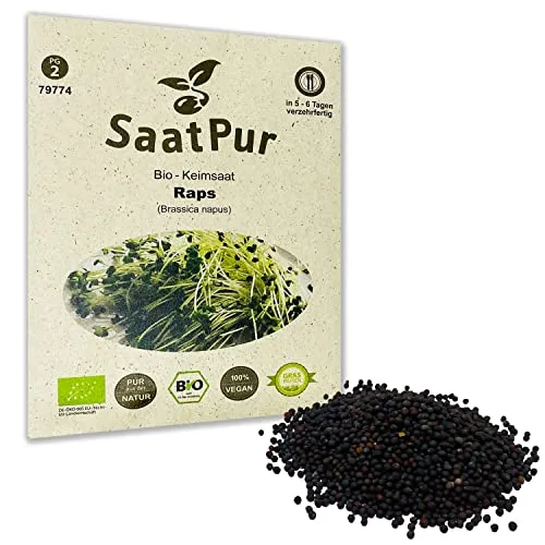 Brassica napus BIO Keimsprossen von SaatPur - Raps Sprossen, Microgreen - 50g