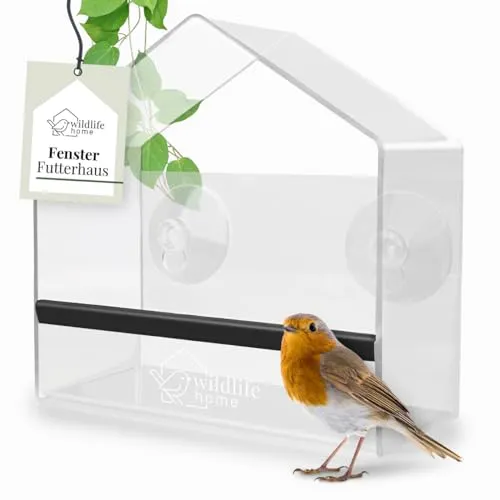 WILDLIFE HOME Fenster Futterhaus für Vögel I Transparent mit Saugnäpfen I Vogelhaus, Futterspender, Vogelfutterhaus für Meisen, Spatzen & Wildvögel, Birdy