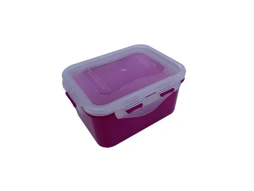 LOCK&LOCK Frischhaltedose Gefrierdose Box HPL 807 beere 470 ml  Geocaching Dose