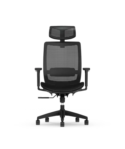 FlexiSpot Bürostuhl BS4 in Schwarz