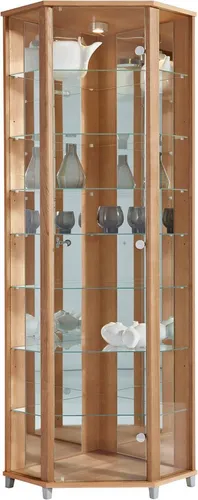 fif möbel Eckvitrine TRIO Höhe ca. 172 cm, ink. Beleuchtung Eckvitrine/Glasvitrine 1x Glastür, perfekt für Sammler, Sammlervitrine