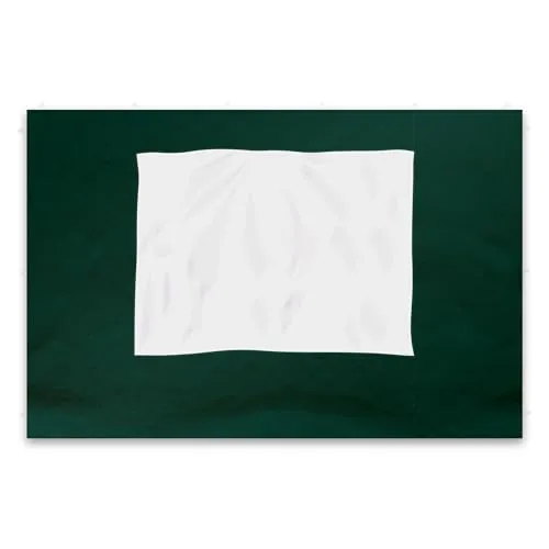 Nexos 2 Stück Seitenteile Seitenwände Ersatzwände mit Fenster für PROFI Falt-Pavillon Festzelt – hochwertig – 295 x 215 cm/PE 180 g/m² – grün
