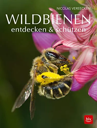 Wildbienen entdecken & schützen: Aktive Bienenhilfe - Blumen & Zierpflanzen - Praktischer Leitfaden zur Förderung von Wildbienen und zum Schutz ihrer Lebensräume.