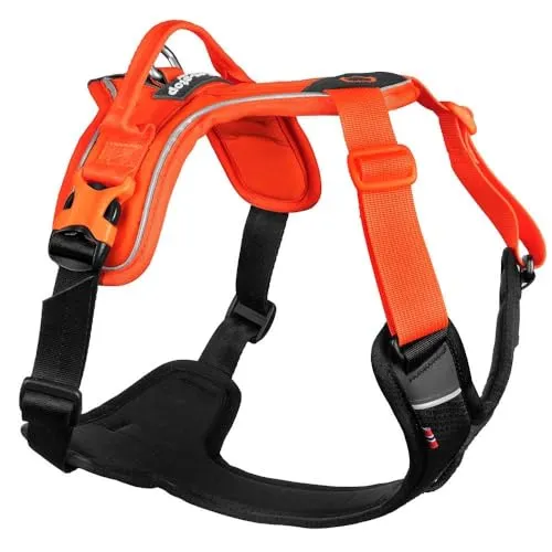 Non-Stop dogwear Ramble Harness XL - orange - Führ- und Alltagsgeschirr für Hunde, bietet optimalen Komfort und Sicherheit beim Spaziergang und Outdoor-Aktivitäten.