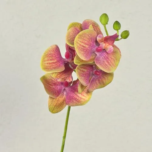 artplants.de Phalaenopsis Orchideenzweig künstlich Ophelia, pink-grün, 40cm - Kunstzweig Orchidee - Seidenorchidee