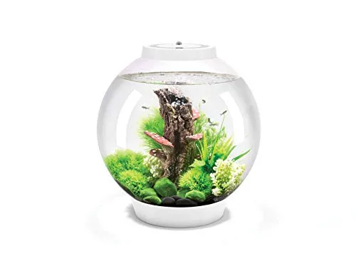 Oase biOrb CLASSIC 30 LED Aquarium 30 l in weiß von biOrb