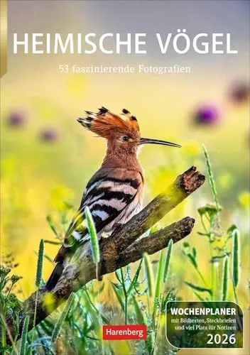 Heimische Vögel Wochenplaner 2026 von Harenberg