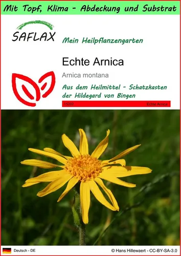 SAFLAX Blumensamen SAFLAX - Garden to go - Echte Arnica