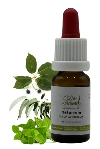 Ätherische Ölmischung 10ml Aktiv Sport | Eukalyptus Kampfer Minze | naturrein