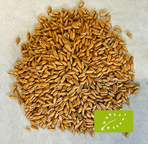 Bio-Dinkel 5 kg Dinkelkorn Dinkelmehl Bioland - kontrolliert biologischer Anbau