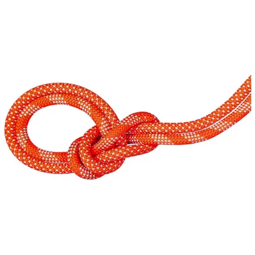 MAMMUT 9.8 Crag Classic Rope Duodess - Einfachseil 60 m - Dynamikseil für Sport- und Trad-Klettern, exzellentes Handling und langlebig, mit sichtbarer Mittelmarkierung für präzises Arbeiten.