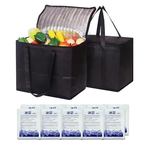 Stück Kühltaschen（20L+20L）+10 Stück Ice Bag，Kühltasche Faltbar，Kühltasche Klein，Cooler Bag，Picknicktasche, Isolierbeutel, Geeignet für Grillen im Freien, Camping und Einkaufen 2