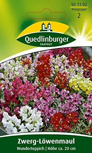 Quedlinburger Saatgut von Quedlinburger