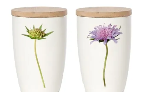 Simply Flowers - 20 - Kaffeetasse, Mit Fotomotiv: Acker Witwenblume, Knautia Avensis, Deckel mit Aromaverschluß, Porzellan, 360ml, H: 12cm, D: 8cm