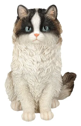 Perserkatze Gartenfigur - Figuren Shop GmbH - Gartenfigur aus Kunststein (Polyresin) in mehrfarbigen Designs, ideal zur Verschönerung Ihres Gartens oder Balkons.