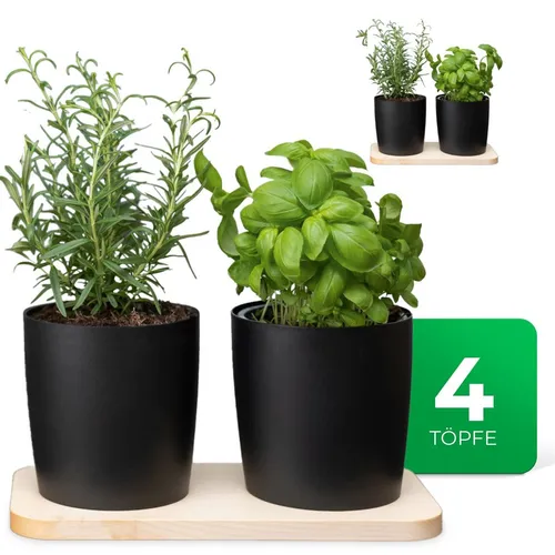 Novaliv Stilvolle Kräuterstation 4er Set - Garten-Zubehör für frische Küchenkräuter: Das elegante Set mit 4 Kräutertöpfen und Holzunterlage passt perfekt auf jede Fensterbank und bringt den Duft von frischen Kräutern direkt in Ihre Küche.