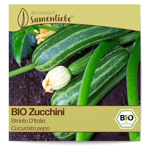 Samenliebe BIO Zucchini Samen alte Sorte Striato D'Italia aromatisch milde italienische Zucchini gestreift 10 Samen samenfestes Gemüse Saatgut für Gewächshaus Freiland und Balkon BIO Gemüsesamen