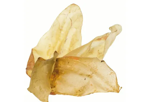 Schecker Schecker Kausnack
