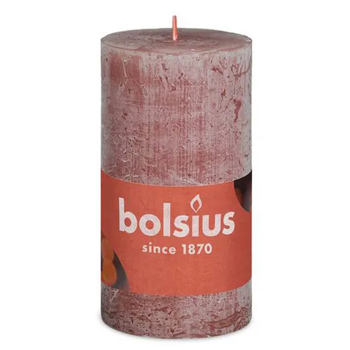 Bolsius Rustik Stumpenkerze Wildleder Braun 100/50mm