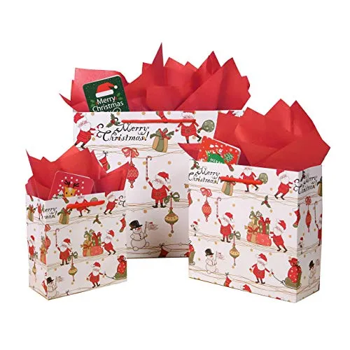 SHIPKEY 12 Stück Geschenktüten mit Seidenpapier und Grußkarten, Weihnachtsmanntüten, Weihnachtstüten aus Papier, perfekt für die Feiertage
