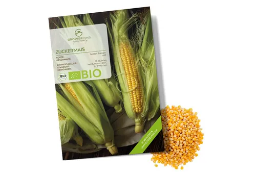 Growgreens Gemüsesamen BIO Zuckermais Samen (Golden Bantam) - Mais Saatgut (30 Korn), Gemüse