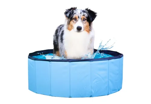 Wahre Tierliebe Hundepool von Wahre Tierliebe