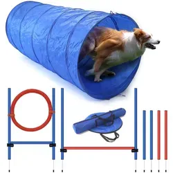 Agility Set für effektives Hundetraining - Tierspielzeug für Hunde, umfangreiches Agility Set zur aktiven Beschäftigung und Verbesserung der Beziehung zwischen Hund und Halter. Ideal für Einsteiger in den Hundesport.