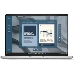 Dell Pro 16 (Platinum Silver, 16