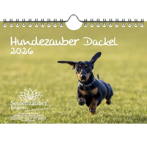 Hundezauber Dackel DIN A5 Kalender für 2026 Welpen und Hunde - Seelenzauber