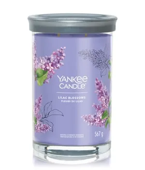 Yankee Candle Lilac Blossoms Duftkerze 567 g - Duftkerze in großer Tumbler-Form, verzaubert mit dem betörenden Aroma von Lavendel und Flieder für eine entspannende Atmosphäre.