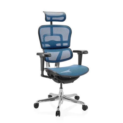 Ergonomischer Chefsessel ERGOHUMAN GEN2 von hjh OFFICE