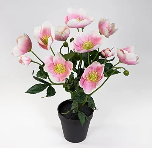 Seidenblumen Roß Christrosenbusch 36cm Hellrosa im Topf PM Kunstblumen künstliche Christrose Blumen Kunstblumen