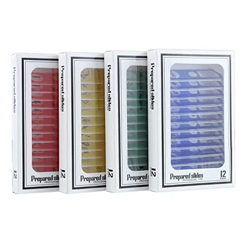 BOJACK 48 Pcs Kunststoff mikroskope Objektträger Objektträger für Kinder mit Insekten, Tieren, Blumen,Pflanzen, Gemüse für Biologische Training