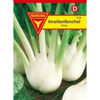 FRANKONIA Knollenfenchel Finale