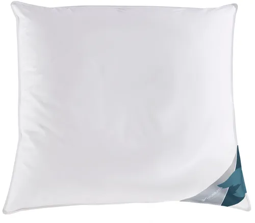 HAEUSSLING Kuscheltraum Kissen 80x80 cm - Allergikerfreundlich - Kissen mit Milbenbarriere für Allergiker – 70% Federn, 30% Daunen, atmungsaktiver Baumwollbezug und waschbar bis 60°C für hygienischen Schlafkomfort. Ideal für erholsame Nächte!
