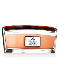 WoodWick Duftkerze Coastal Sunset in beige von WoodWick