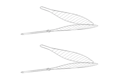 HAC24 Grillrost BBQ Fischbräter Fischgriller Fischzange Fischhalter Fischgitter (2-St), Edelstahl 42 x 9 cm