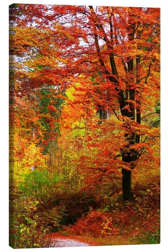 Posterlounge Wandbild Herbst, Falko Follert, erhältlich als Poster, Leinwandbild, Wandsticker oder Acrylglasbild