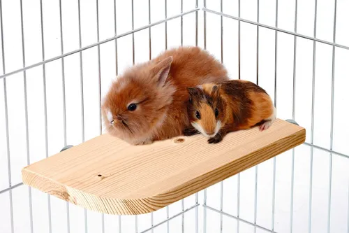 Karlie Wonderland Sitzbrett Nagetierkäfige Zubehör Holz Natur 30 x 14 cm