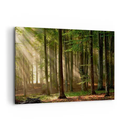 Wandbilder 120x80cm Leinwandbild Wald Baum Natur Groß XXL Bilder Art Wanddeko