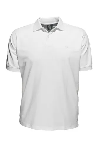 AHORN SPORTSWEAR Poloshirt in klassischem Design