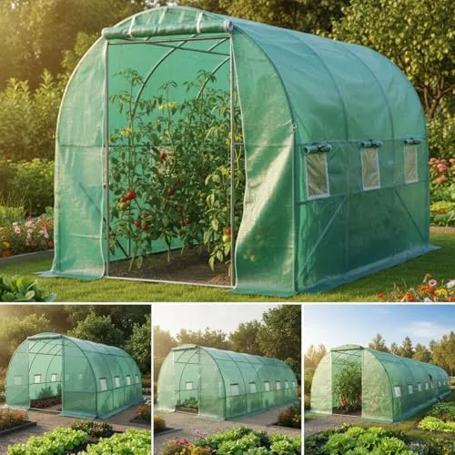 BRAST Folien-Gewächshaus 06, 2x3m inkl. Erdanker von BRAST