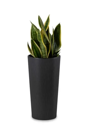 HowHomely Blumentopf Gross Hoch 37 cm mit Pflanzkübel Einsatz 20 cm Durchmesser - Schwarz Pflanzkübel Groß aus Kunststoff für Deko Wohnzimmer Garten oder Terrasse